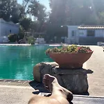 Al Bosco Forio di Ischia