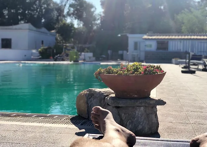 Al Bosco Forio di Ischia