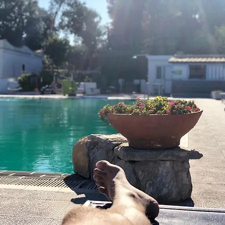 Al Bosco Forio di Ischia